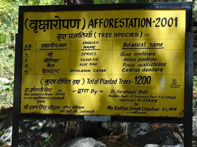 environment experts question govt’s green credit scheme  say methodology doesn’t inspire confidence