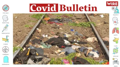 watch  in 2020  more than 8 000 people died on railway tracks  most of them migrant labourers