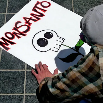 patent protection  what monsanto can learn from tesla