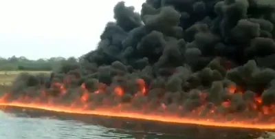 assam  efforts to clean burhi dihing oil spill underway  inquiry ordered