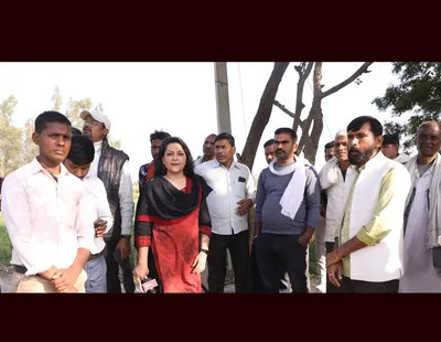 watch   sitapur   stray cattle causing huge problems for farmers 