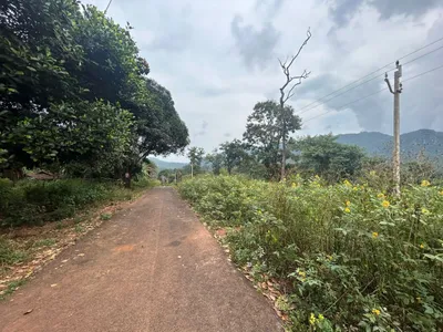chhattisgarh  in chandameta  with electricity  roads and water – a polling booth for the first time