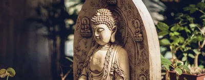 non violence is not the be all and end all of buddha’s revolutionary teachings