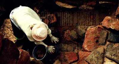 a tale of two diggings