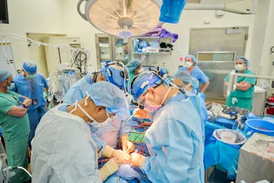 us researchers transplant modified pig hearts to brain dead recipients