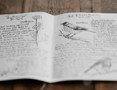 success of new scheme to get scientists to write more needs community effort