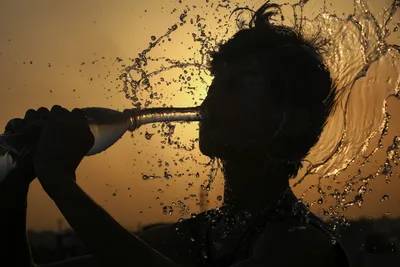  respond on strategies to tackle intense heat   what the national green tribunal told union ministries  state govts