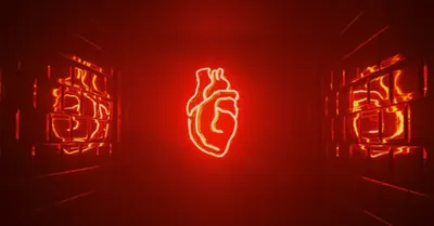 chinese doctors have executed prisoners by removing their hearts  study