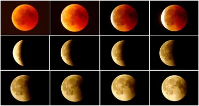 total lunar eclipse set to wow star gazers  clear skies willing