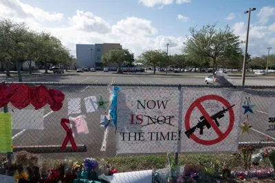 florida governor signs gun safety bill into law after school massacre