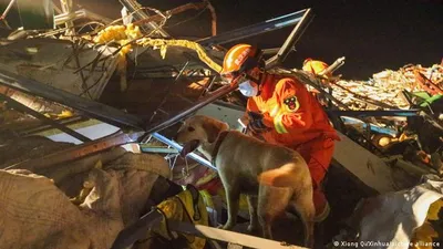 two tornadoes kill at least 7 in china  over 200 injured
