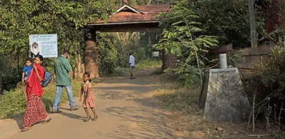 india’s tiger count increases but tribal groups are paying a price for it