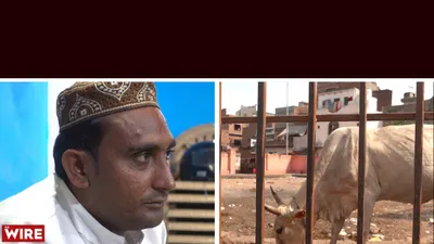 watch  what the meat ban in 22 wards of mathura has meant for sellers