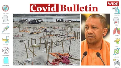 watch   uttar pradesh  as bodies pile up on banks of ganga  shrouds from graves removed