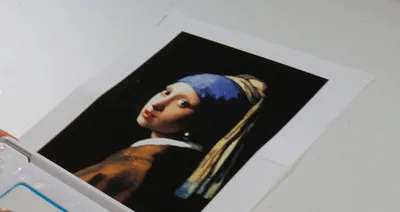 climate activist glues his head to ‘girl with a pearl earring’ painting in the hague