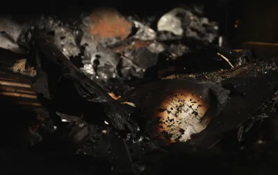 restoring the fire ravaged university of cape town library