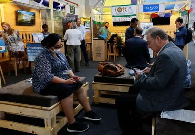 cop27 diary  updates from day 3