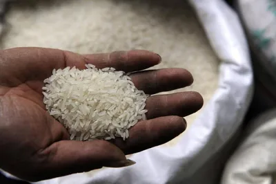 china buys indian rice for first time in decades as supplies tighten
