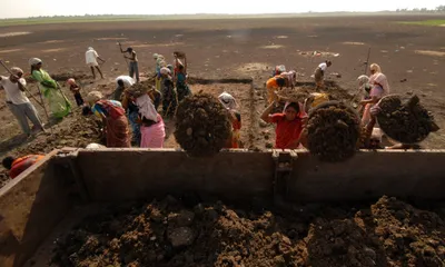 the life of labour  activists against using mgnrega to subsidise farm labour