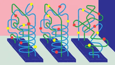 how scientists are untangling the mystery of developmental disorders