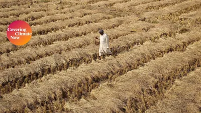 climate change poses serious threats to india s food security