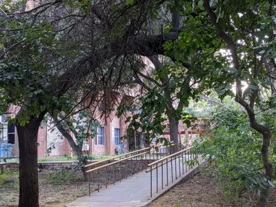 jnu teachers  association demands immediate release of pension to retired faculty members