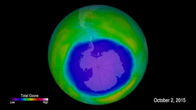 sources of  rogue  cfc 11 emissions damaging the ozone layer need to be identified