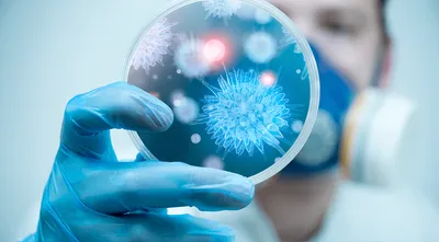 consultations on human infection studies in india  do people’s voices really count 