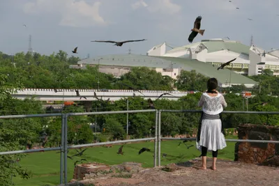 review  the dispossessed and the possessed