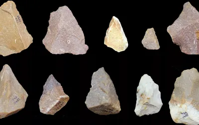 ancient stone tools found in tamil nadu push back  out of africa  exodus date