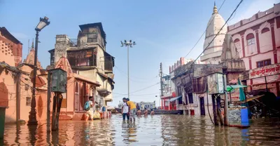 as we ‘beautify’ our country  our children inherit the results of our sham green clearances