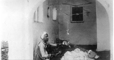 bihar caste survey  the who’s who in the data   dhuniya