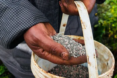 gulf strikes disrupt fertiliser supply chains  forcing india to ration gas before kharif sowing