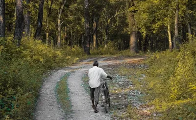 tribal panel invokes special powers to evaluate states’ implementation of forest rights act