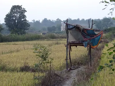 human wildlife conflicts could consume the forest department in the long run