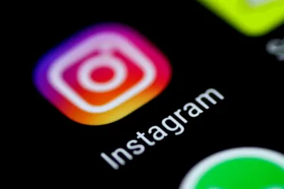 our brains seem to love instagram  why 