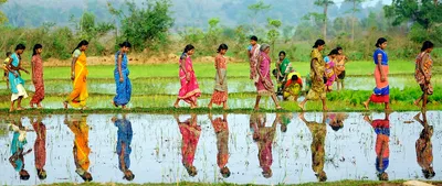 the life of labour  agrarian distress in andhra  patriarchy in marathwada
