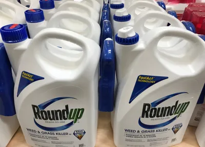 monsanto ordered to pay  289 million in world s first roundup cancer trial