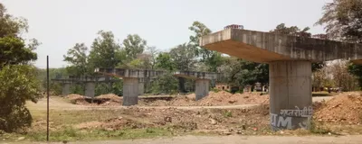 can building flyovers for animals reduce wildlife fatalities in india 