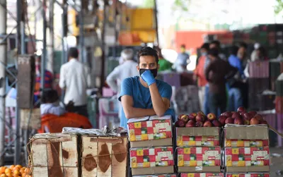 how absence of govt procurement agencies is shrinking delhi’s agrarian economy