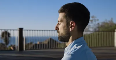 novak djokovic  the wolf in winter’ can’t get to the bottom of its subject’s combative complexity