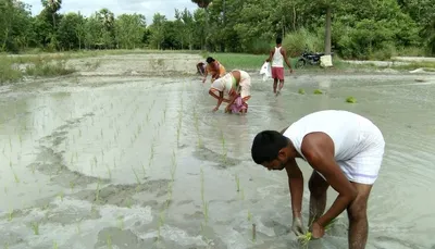 climate change hits bihar farmers twice this year