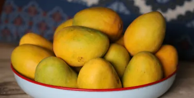 karnataka  hindutva group targets muslim mango traders  stakeholders slam  vested interests 