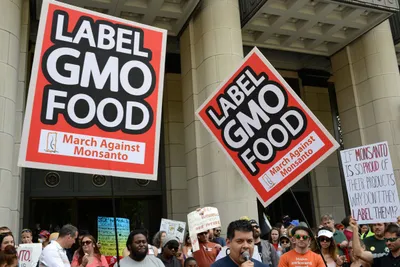 strongest opponents of gmo understand it the least  study