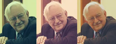 immanuel wallerstein  radical  scholar and prophet of our capitalist times