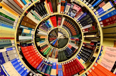 coronavirus  the lockdown has caught us between expertise and common sense