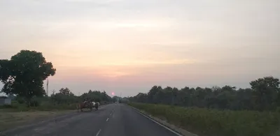 chronicling the killing of t1  the tigress