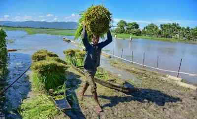  agriculture and atmanirbharta  is a noble vision  but needs hard decisions and political consensus