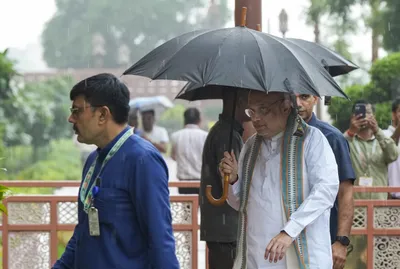 is amit shah’s meltdown a work in progress 