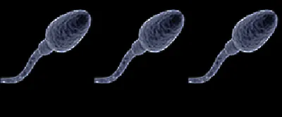 ‘let not despair imprison our words’  remembering ali sardar jafri  20 years on 